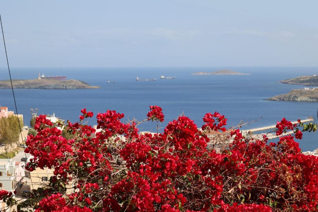a bush with red flowers in front of the ocean at Artistic Cycladic House Ano Syros in Ermoupoli