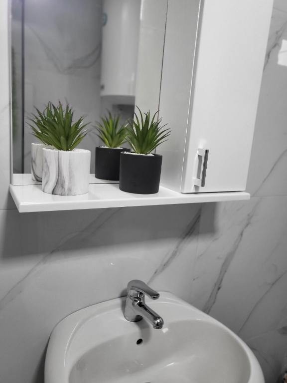Koupelna v ubytování Apartman Vučko