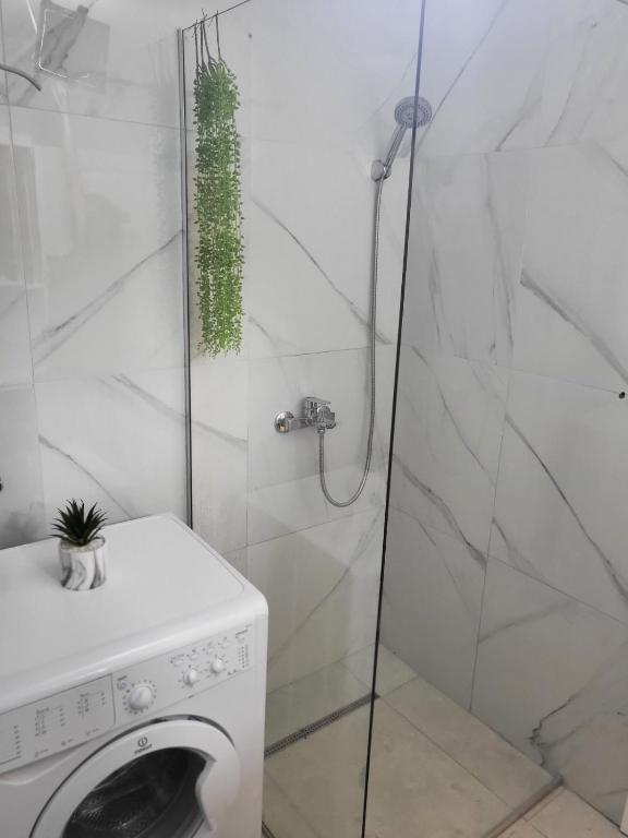 Koupelna v ubytování Apartman Vučko