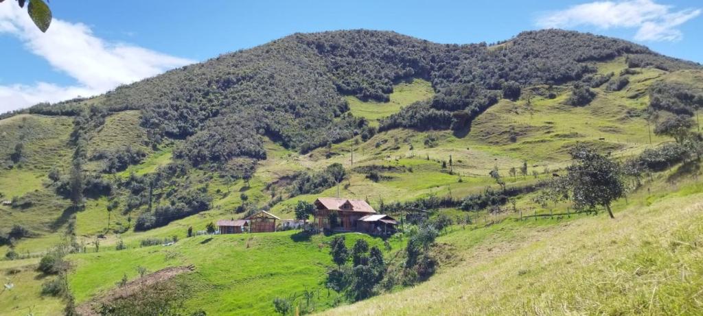a house on a hill with a green mountain at Cabaña Lato_puzhio in Chordeleg
