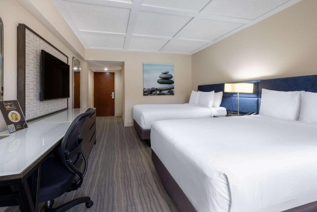 Wyndham Boca Raton Hotel - 泳池景双人间 - 带两张双人床 - 禁烟