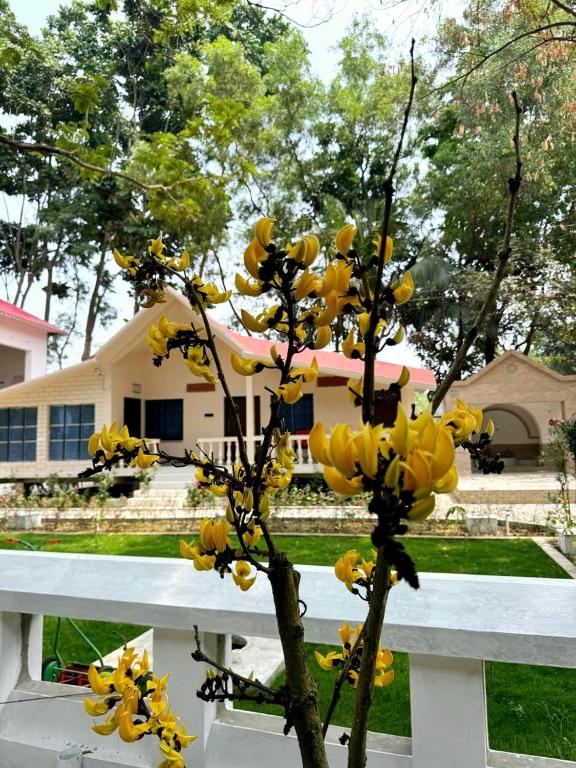 SANTINIKETAN RETREAT, Bolpur - Chambre Double Avec Vue De La Piscine
