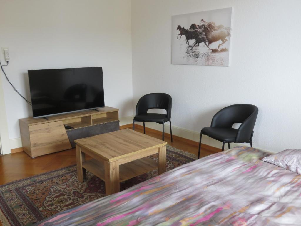 TV a/nebo společenská místnost v ubytování Chez Carole (4 pièces)