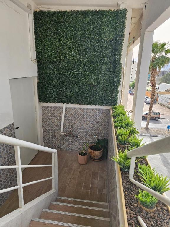 eine Treppe, die zu einer grünen Wand mit Pflanzen führt in der Unterkunft Sun Sea Center in Eilat