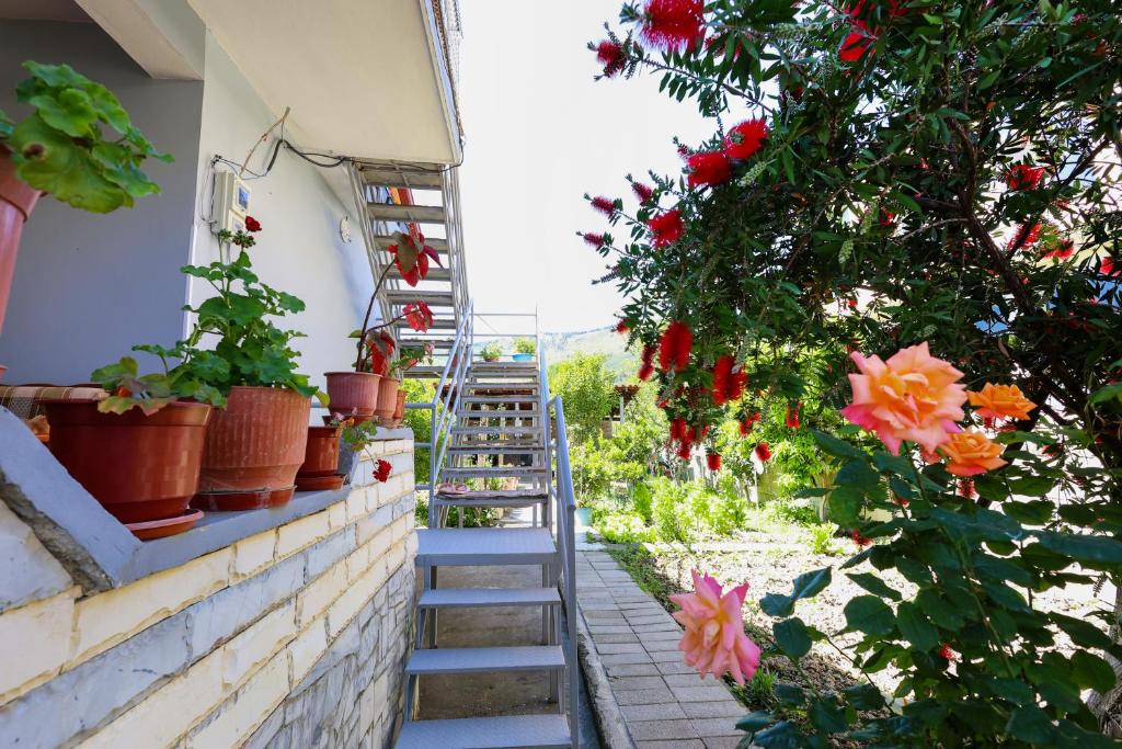 Zahrada ubytování Samuela Cozy Retreat