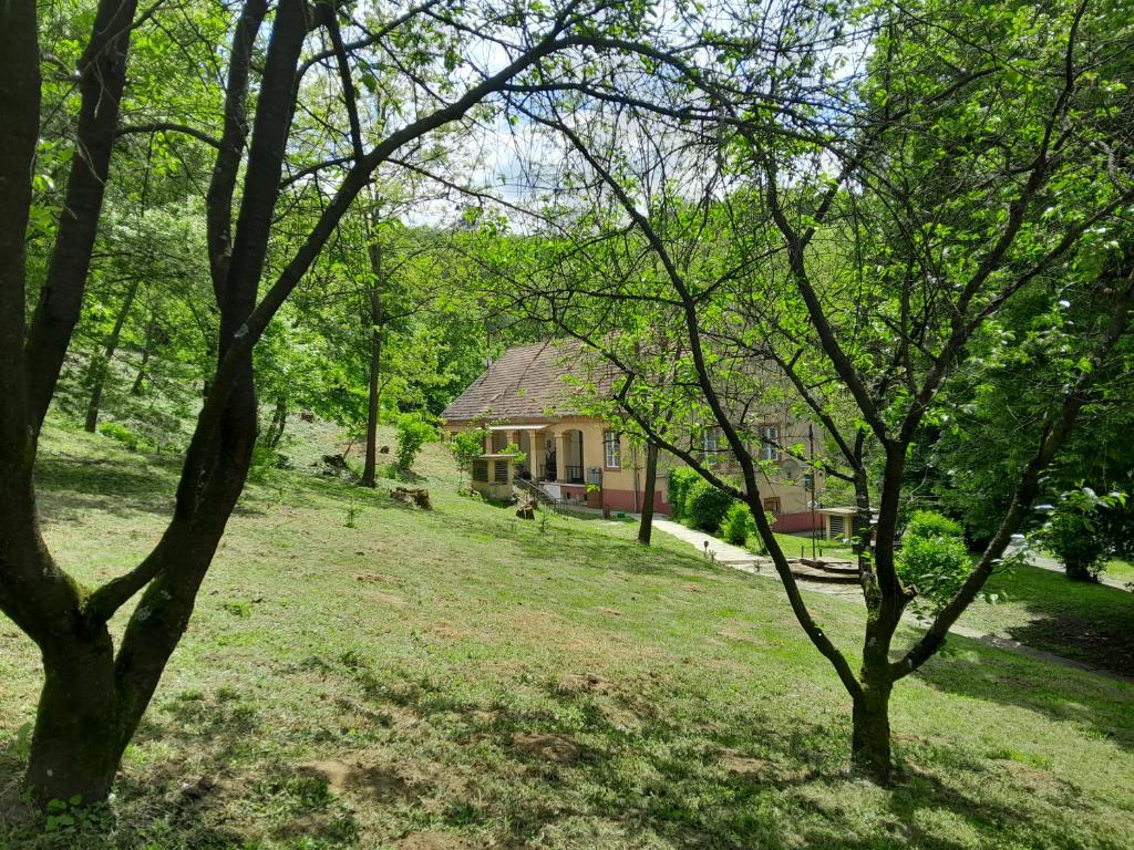 a house in the middle of a yard with trees at Tilia Ház in Salgótarján