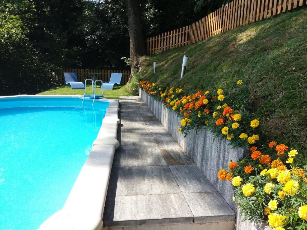 a swimming pool with flowers next to a fence at Villa Rossini in Tavernerio