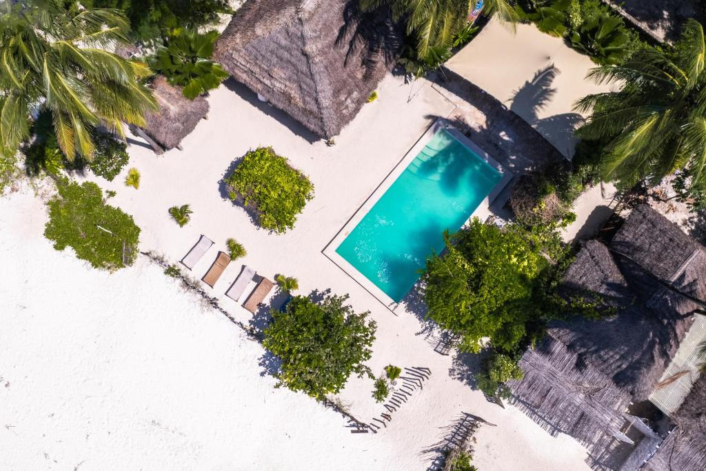 an aerial view of a beach with a swimming pool at Pili Pili Uhuru Beach Hotel in Jambiani