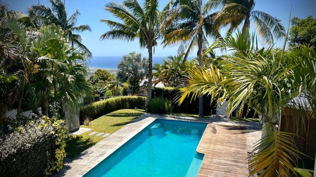 a swimming pool in a yard with palm trees at La Villa des Cannes in Sainte-Marie