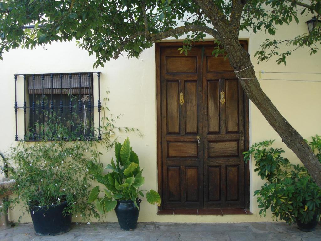 セテニル・デ・ラス・ボデガスにあるCasa Rural: "la Encina"の植物の木の扉
