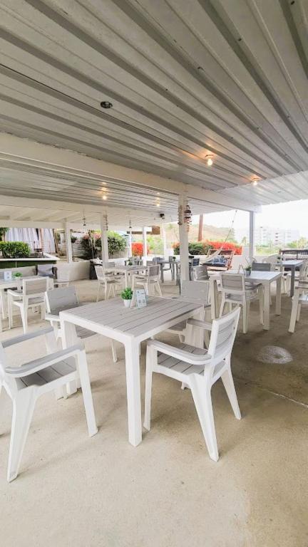 Fotografie z fotogalerie ubytování La Jamaca - Island Vibe Hotel v destinaci La Parguera