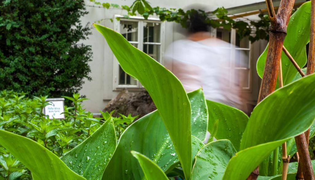Schlossquadrat Apartment 16 - 12