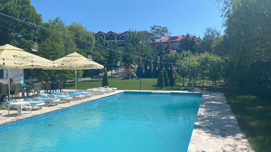 a large swimming pool with chairs and umbrellas at Pensiunea Știuca Șchioapă in Băltenii de Sus