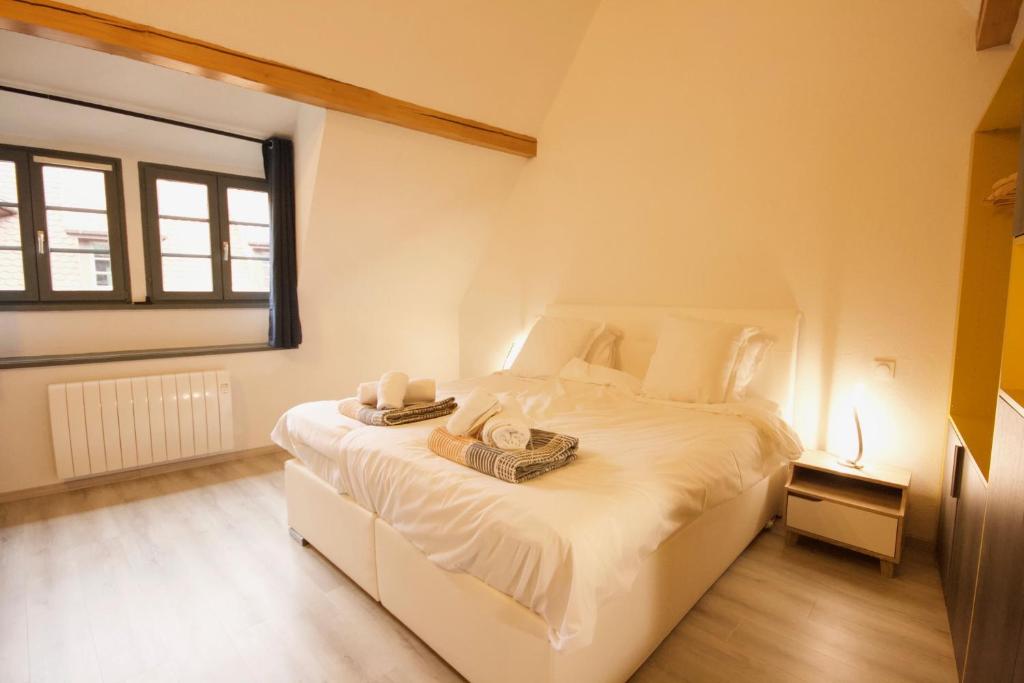 Appartement Le Ch'ti Alsacien – photo 12