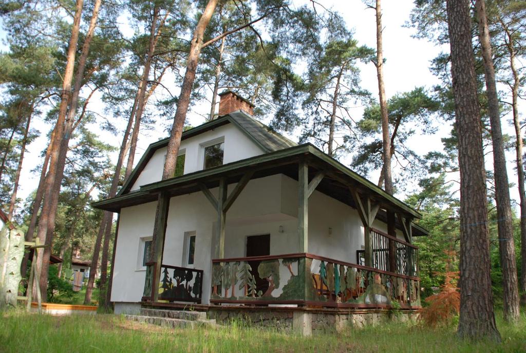 a house in the middle of a forest at Domyletnie Pobierowo Duży dom 140m2 z działką in Pobierowo