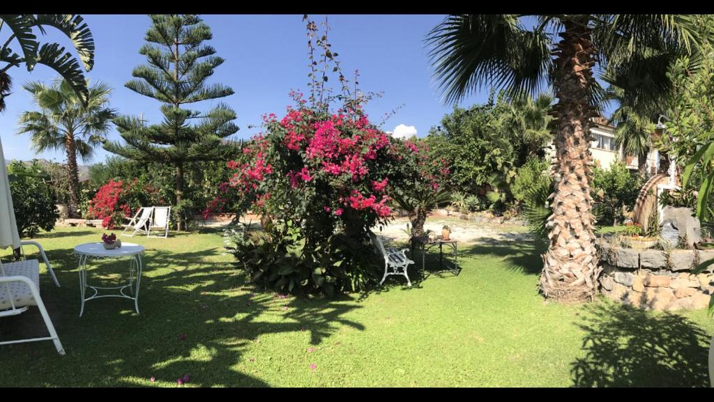 La Capanna di Giuseppe e Maria - 2