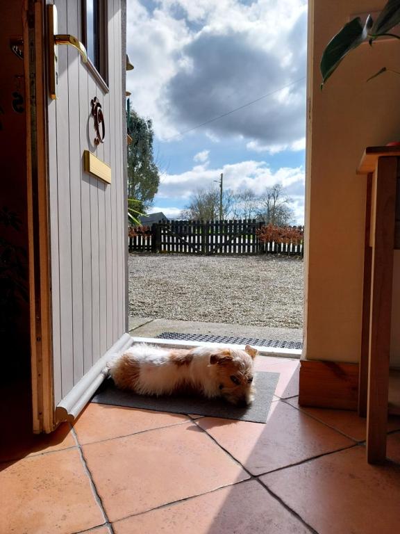 Balkón nebo terasa v ubytování Felicity Cottage, W91 D1W3