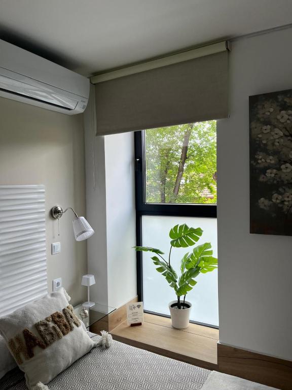 GARDEN HOUSE Madrid - 12