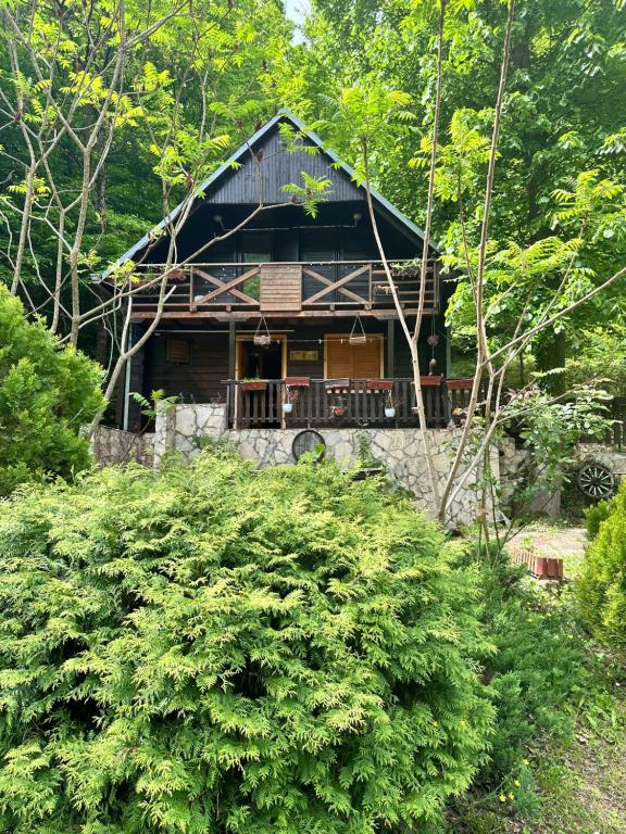 uma casa no meio de uma floresta em Vikendica Lenka em Sijarinska Banja