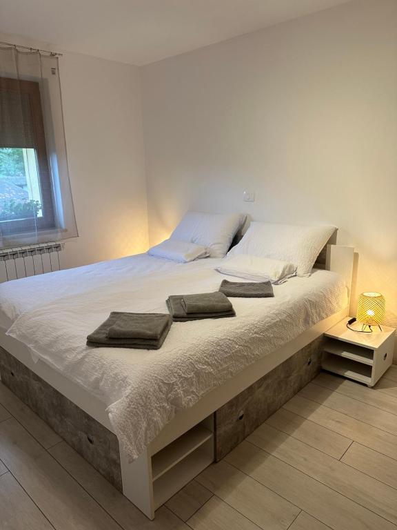 En eller flere senge i et værelse på Apartma Anže Samec