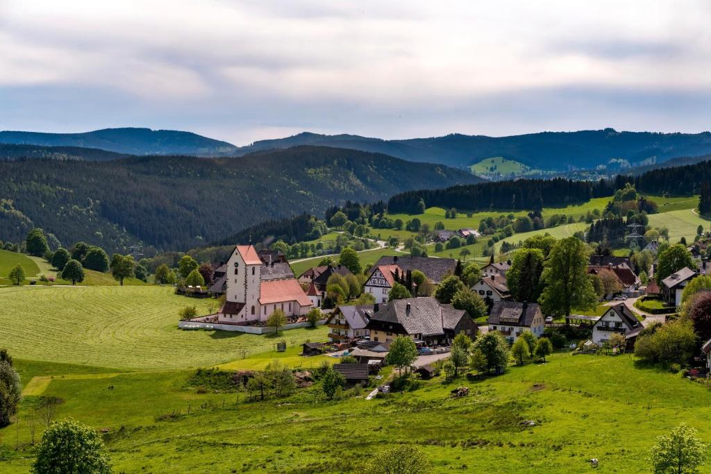 Příroda nedaleko hotelu