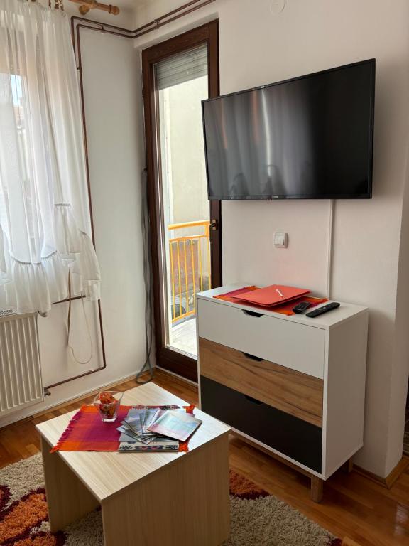 TV a/nebo společenská místnost v ubytování Apartman LENKA