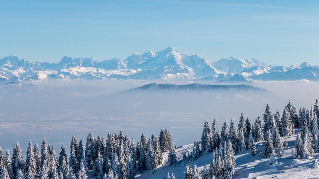 Zdjęcie z galerii obiektu Le chamois w mieście Bois-dʼAmont
