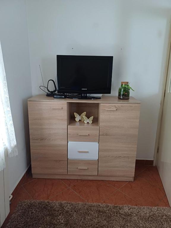 TV a/nebo společenská místnost v ubytování Apartments Karmen