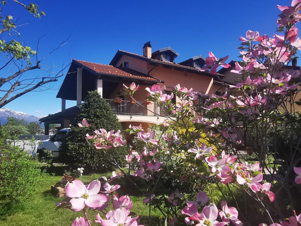 uma casa com flores cor-de-rosa em frente em Orto del pettirosso em Front