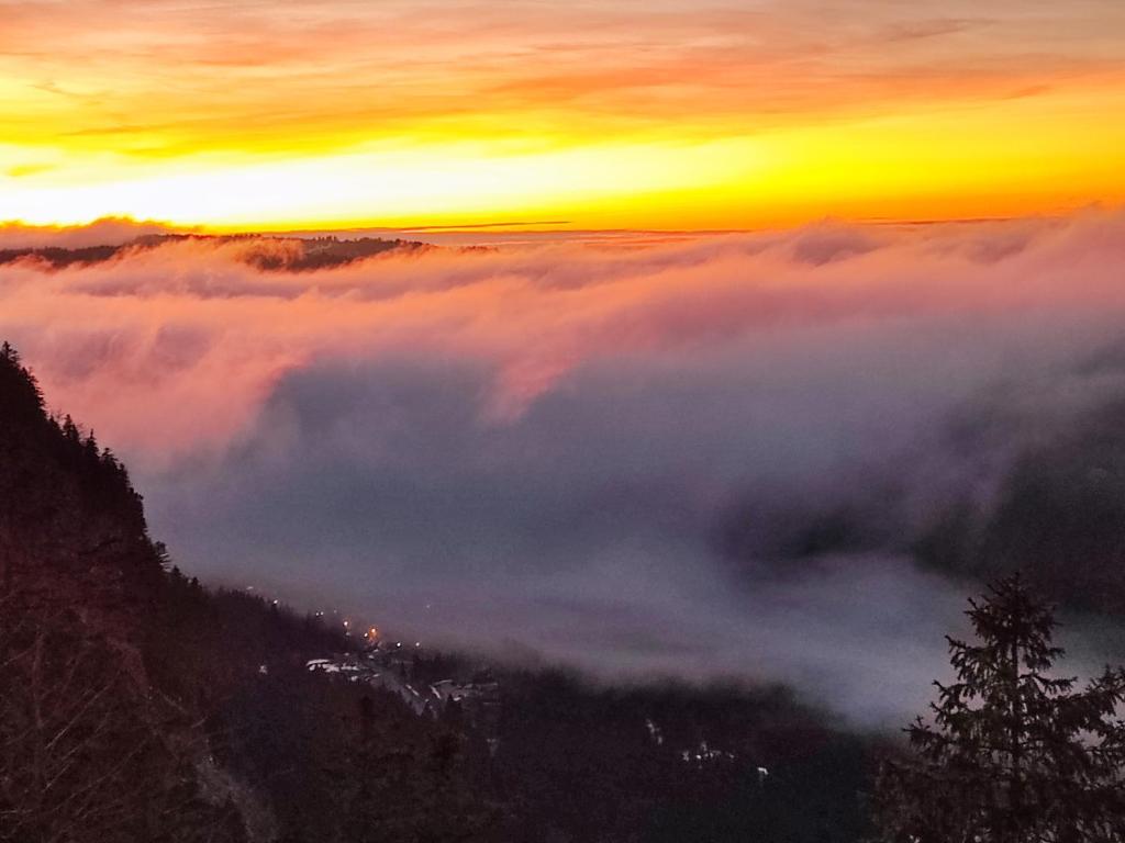 Zdjęcie z galerii obiektu Le chamois w mieście Bois-dʼAmont