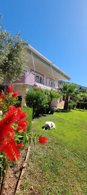 Relaxing Country house Porto Vito - Housity
