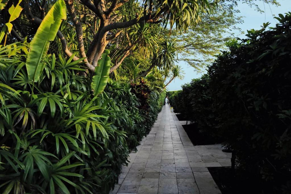a path through a garden with trees and plants at The Standard Miami in Miami Beach