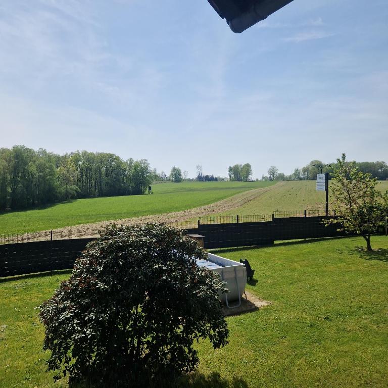 einen Blick auf ein Feld mit einem Baum im Gras in der Unterkunft Höher Auszeit- Bergisch schön in Wiehl