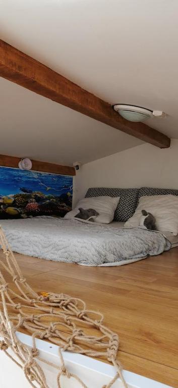 2 chats dormant sur un lit dans une pièce dans l'établissement Calanques Prado Stade et Parking, à Marseille