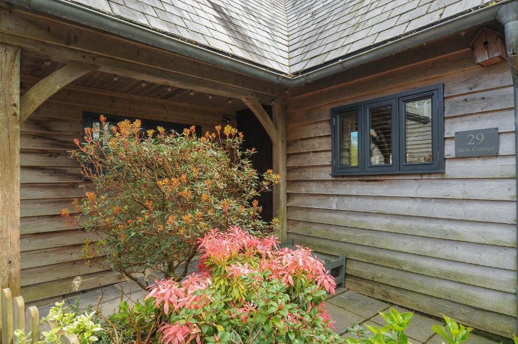 a porch of a house with a window and a bush at Stow Cottage in Camelford