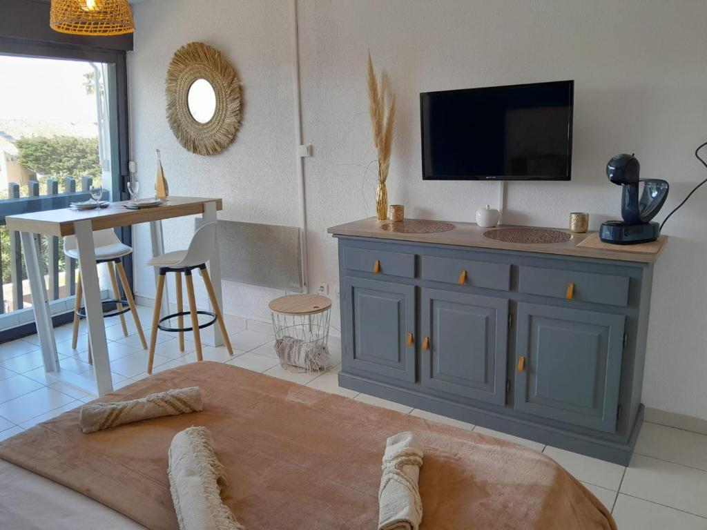 Il comprend un salon doté d'une armoire bleue et d'une télévision. dans l'établissement Naturistecapdagde L'indigo, au Cap d'Agde