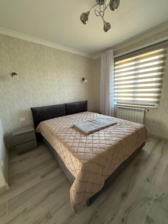 Damiani B&B
