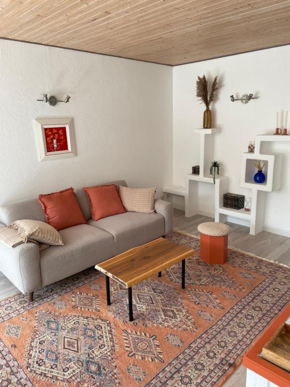 un salon avec un canapé et une table basse dans l'établissement Appartement T2 proche mer, à La Pironnière