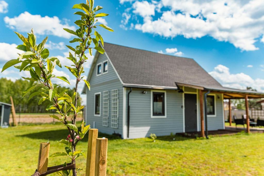 una casa con un albero davanti di Domek Życiny nad Zalewem Chańcza a Życiny