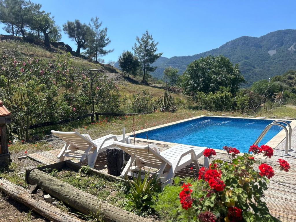 a swimming pool with two chairs and flowers next to it at Togo iztuzu Stonehouse-4 in Boğazağzı