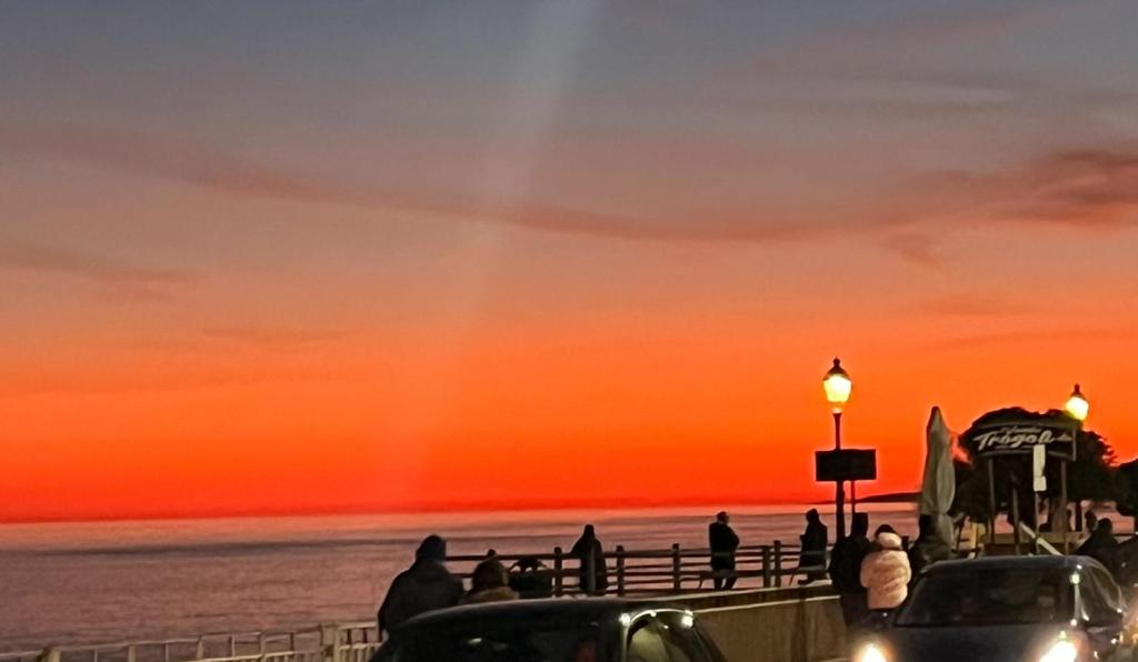 Naturlandskabet i nærheden af lejligheden