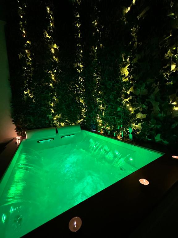 einem Pool mit grüner Beleuchtung vor einer Pflanze in der Unterkunft Sweet Dreams Rooms in Brindisi