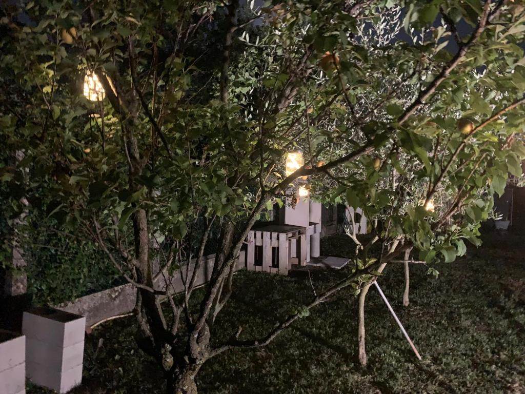 Zahrada ubytování B&B Tre scimmiette