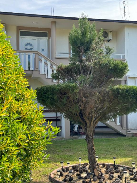 Zahrada ubytování Studio Apartments Domenik