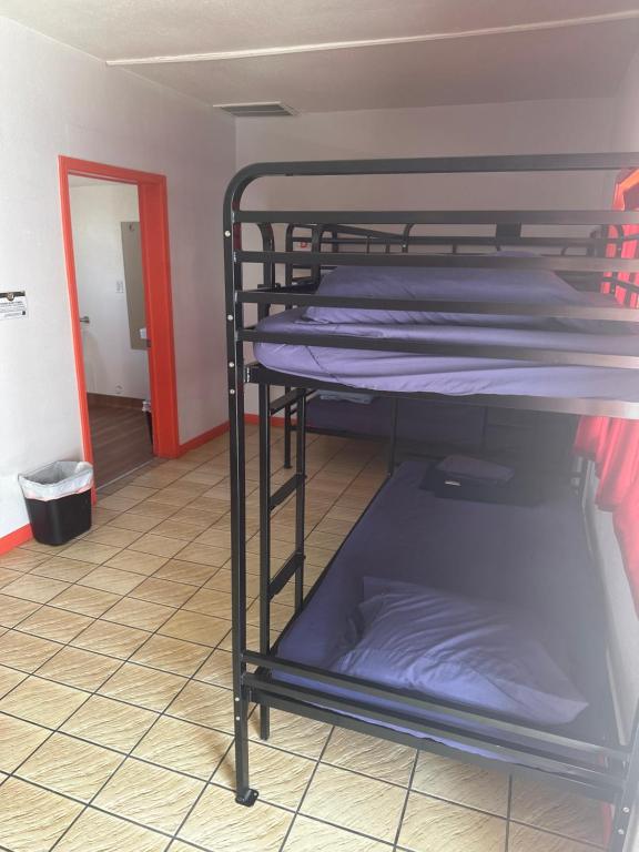 Sin City Hostel photo