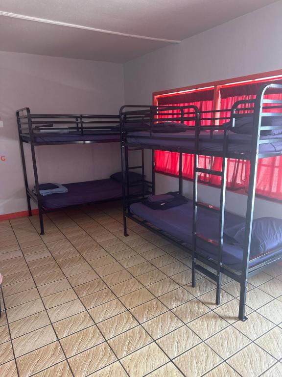 Sin City Hostel photo