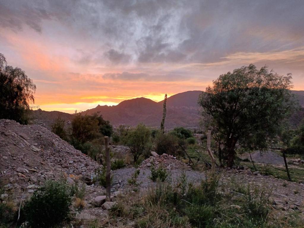 a sunset in a field with trees and mountains at Reposo del Huasamayo in Tilcara