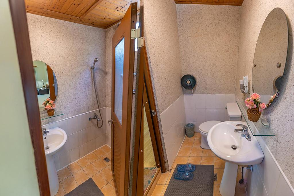 a bathroom with a sink and a toilet and a mirror at Yishin Garden B&amp;B in Pinghe