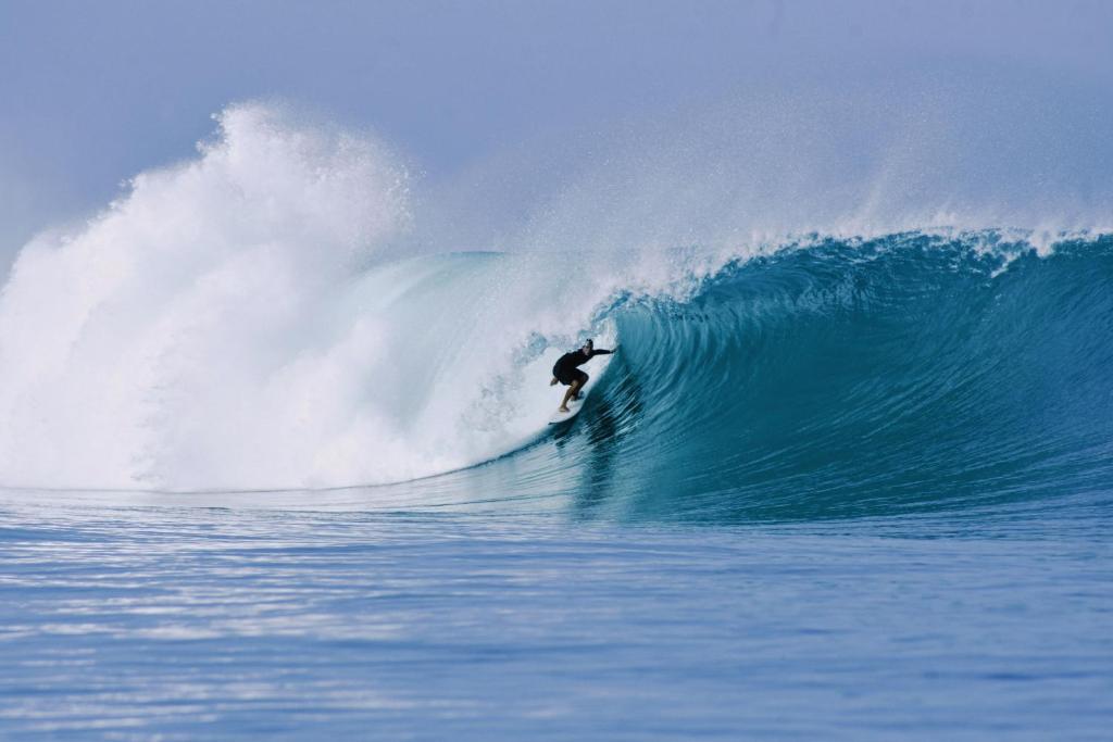 Hosté ubytování Suzi Beach House Mentawai