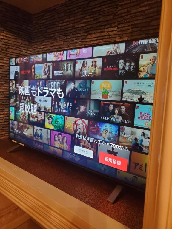 TV a/nebo společenská místnost v ubytování openHeart城『キャッスル』